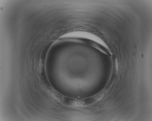 X0000084010223200703022039