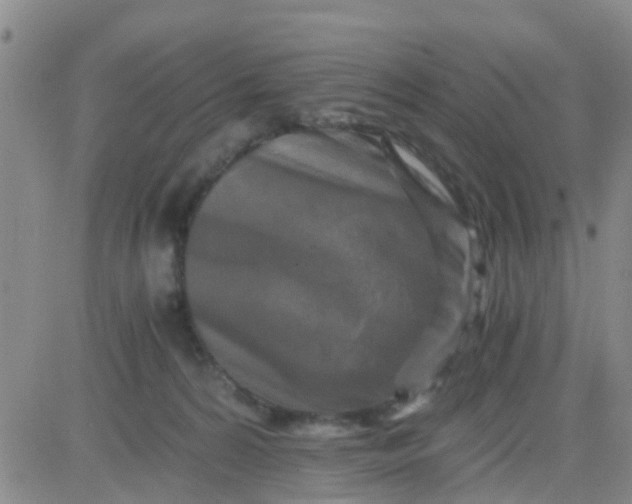 X0000084010224200703022039