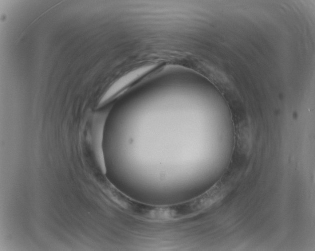 X0000084010225200703022039