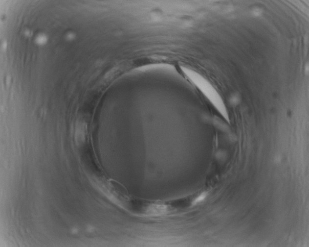 X0000084010227200703022039