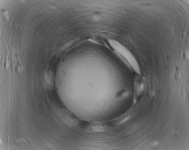 X0000084010228200703022039