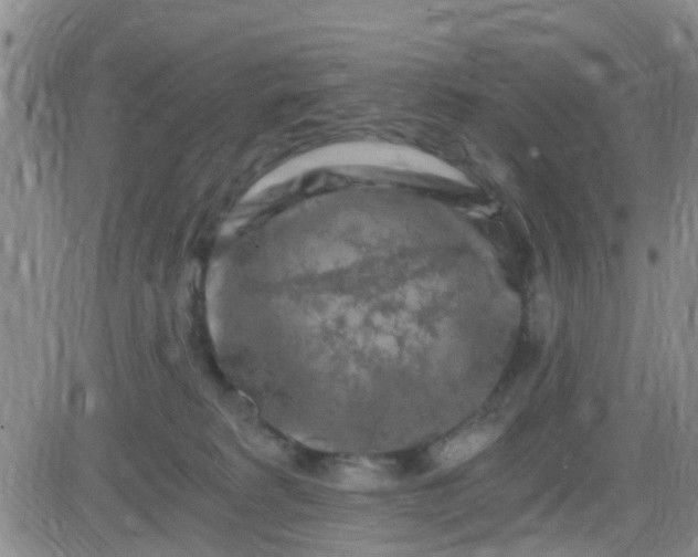 X0000084010229200703022039