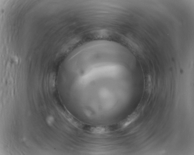 X0000084010230200703022039