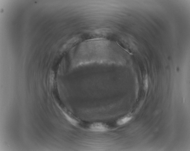 X0000084010231200703022039