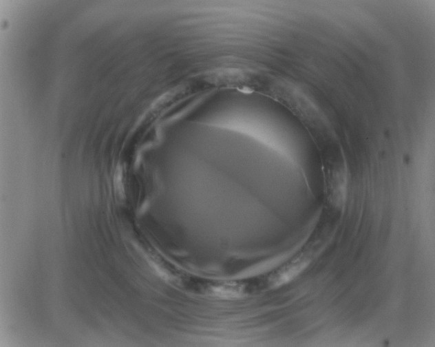 X0000084010232200703022039