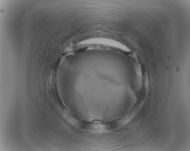 X0000084010233200703022039