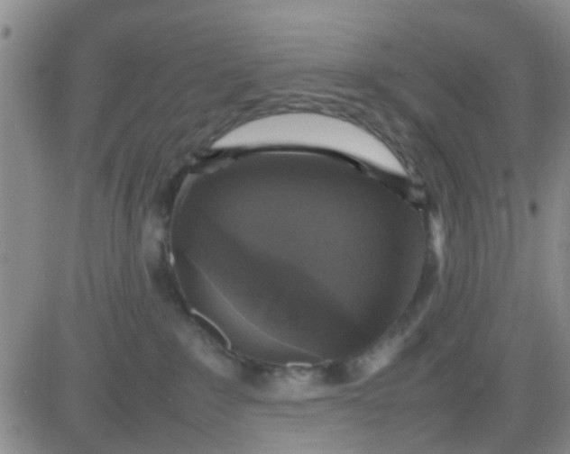 X0000084010235200703022039