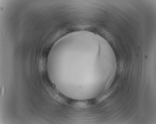 X0000084010236200703022039