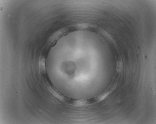 X0000084010238200703022039