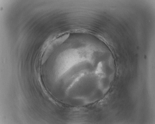 X0000084010241200703022038