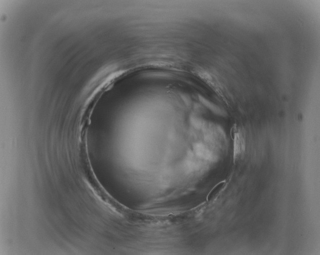 X0000084010243200703022038