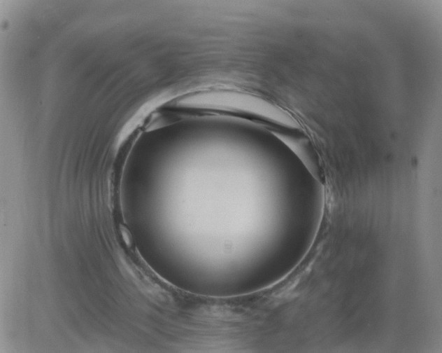 X0000084010244200703022038