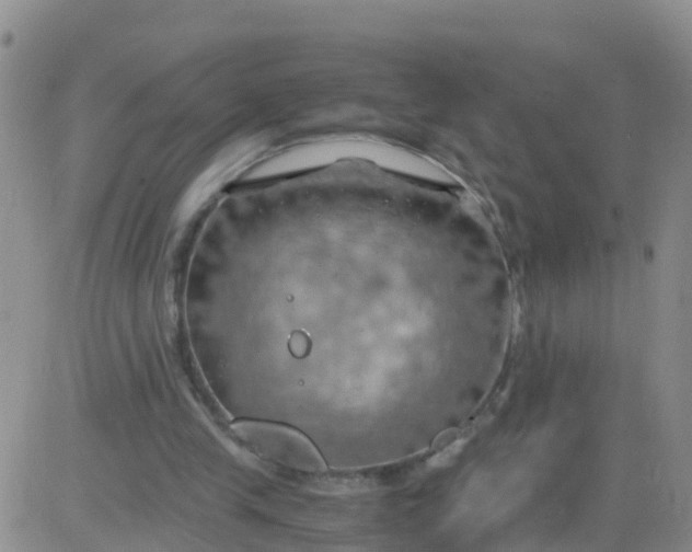 X0000084010245200703022038