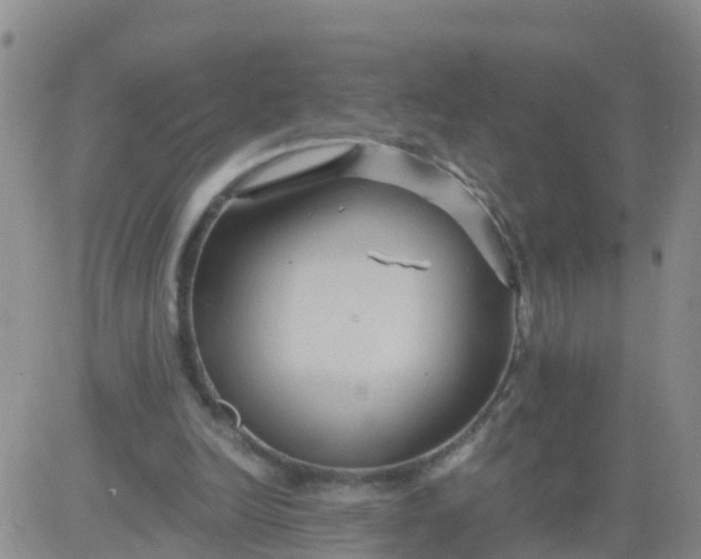 X0000084010246200703022038