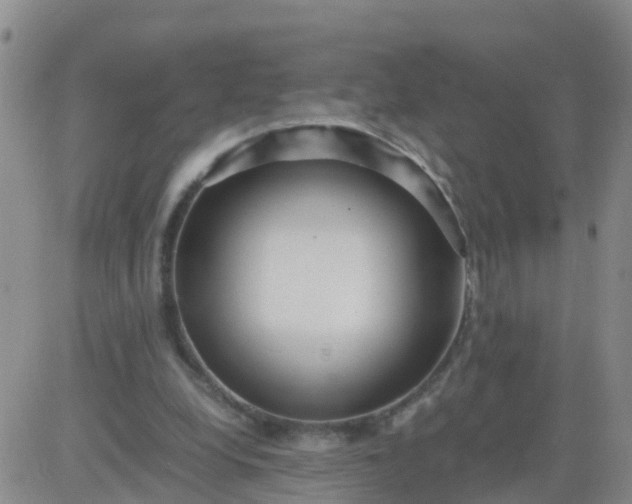 X0000084010248200703022038