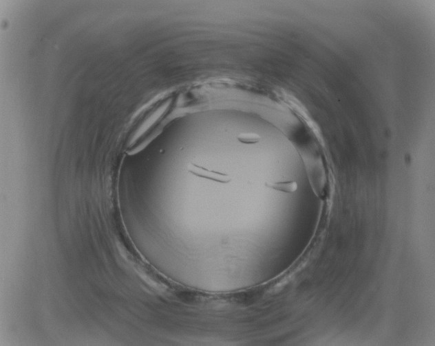 X0000084010249200703022038