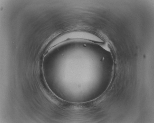 X0000084010250200703022038