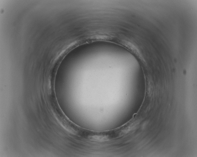 X0000084010251200703022038