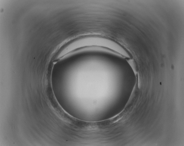 X0000084010252200703022038