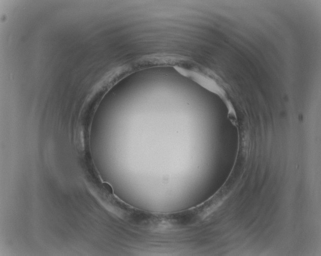 X0000084010254200703022038