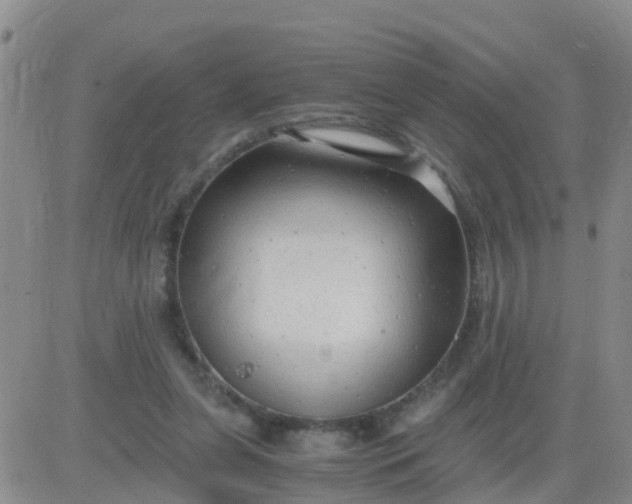 X0000084010255200703022039