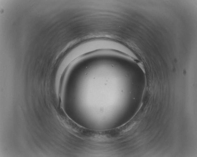 X0000084010256200703022039