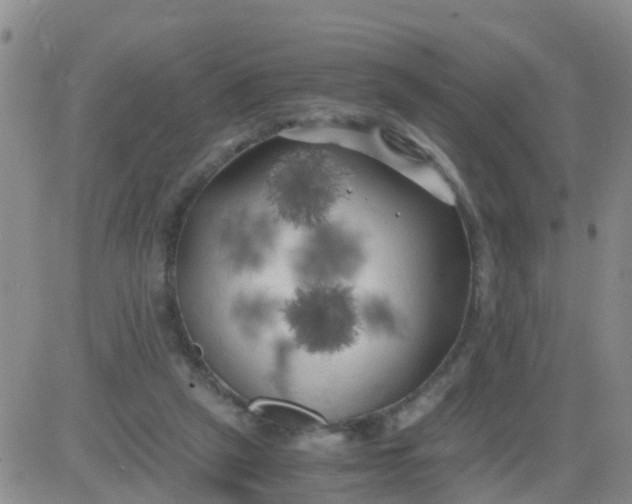 X0000084010257200703022039