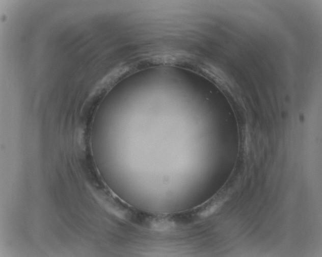 X0000084010258200703022039