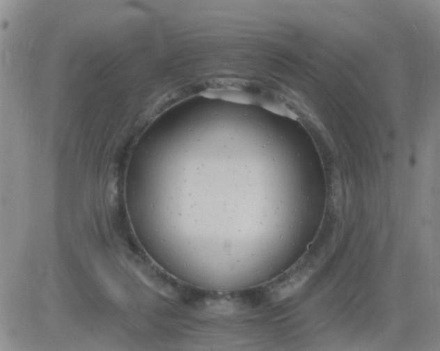 X0000084010259200703022039