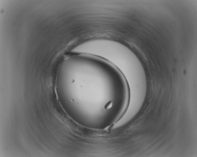 X0000084010260200703022039