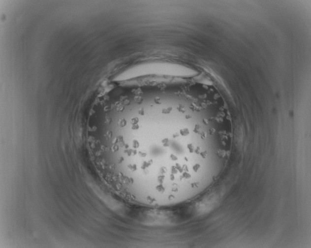 X0000084010261200703022039