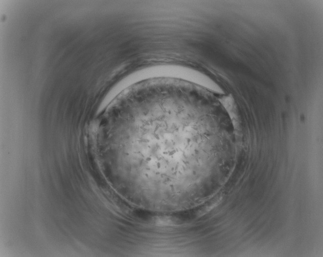 X0000084010264200703022039