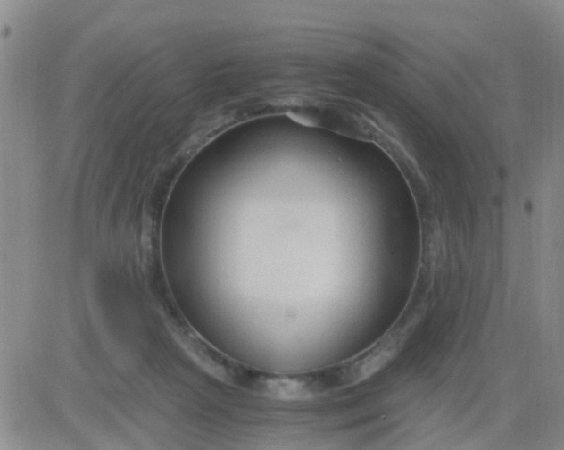 X0000084010265200703022039