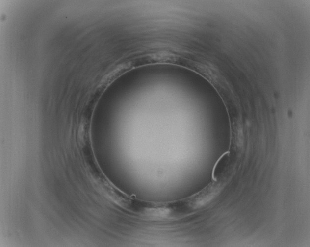 X0000084010266200703022039