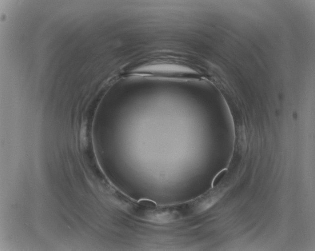 X0000084010267200703022039