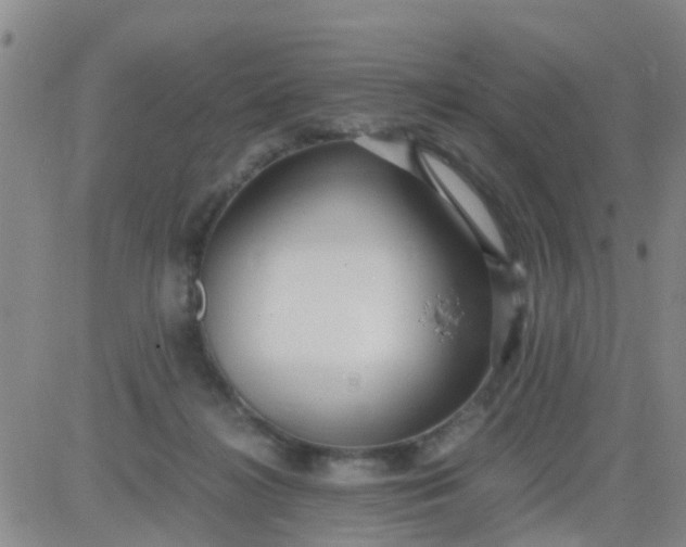 X0000084010268200703022039