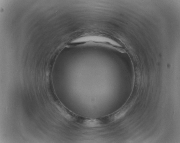 X0000084010269200703022039