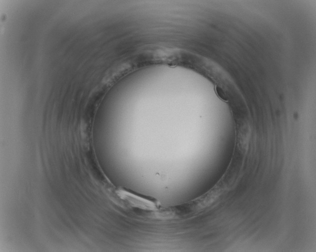 X0000084010270200703022039