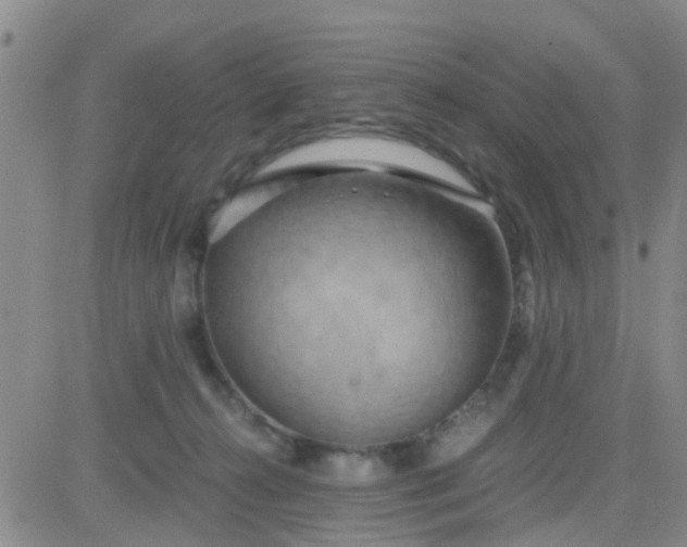 X0000084010272200703022039