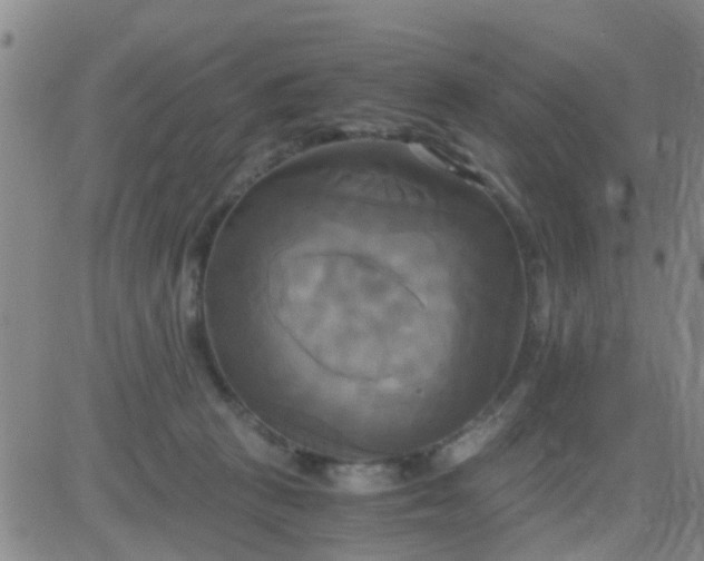 X0000084010273200703022039