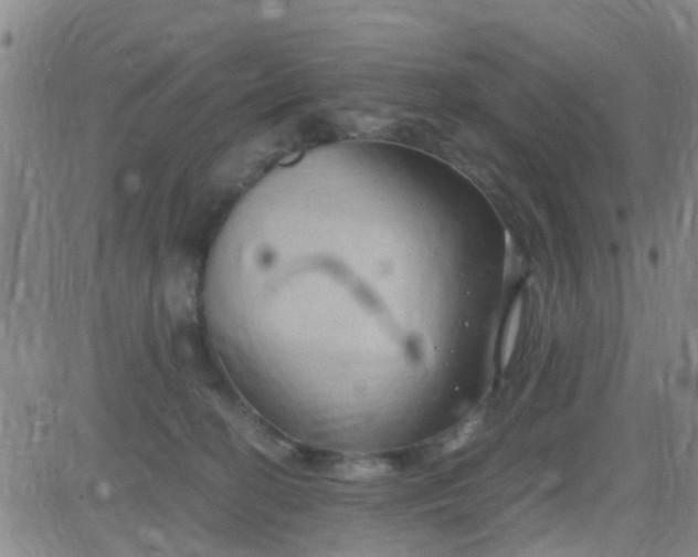 X0000084010274200703022039