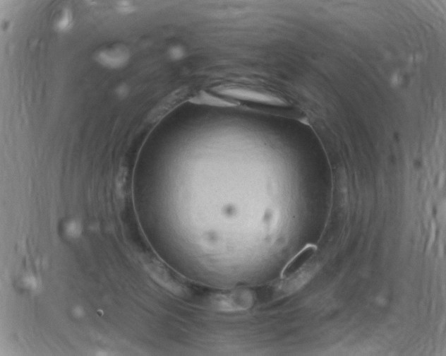 X0000084010275200703022039