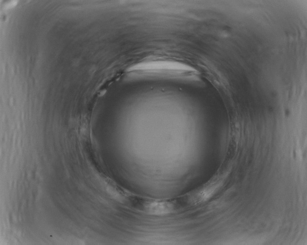 X0000084010277200703022039