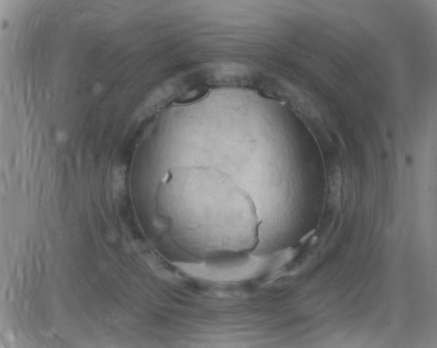 X0000084010278200703022039