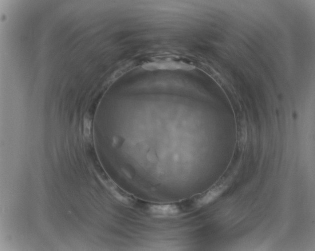 X0000084010281200703022039