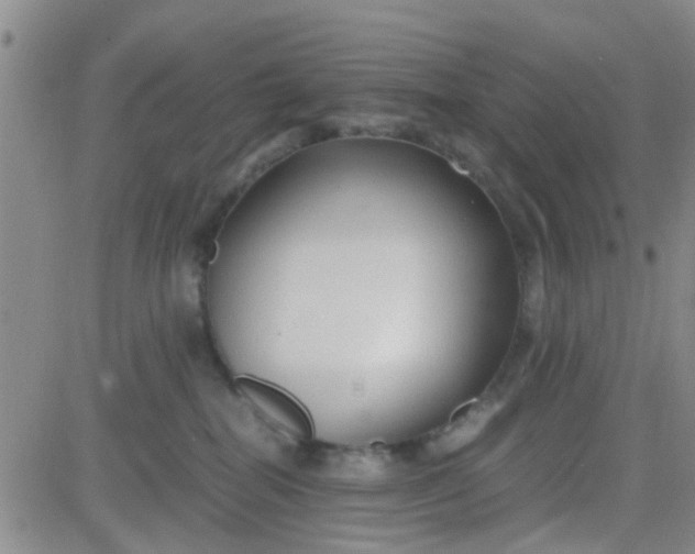 X0000084010282200703022039