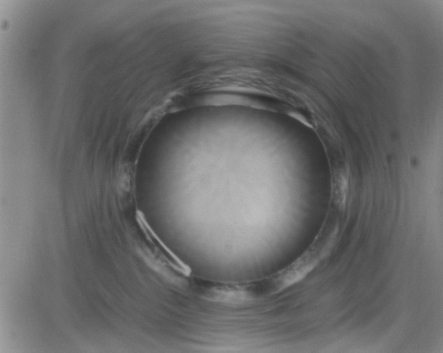 X0000084010284200703022039