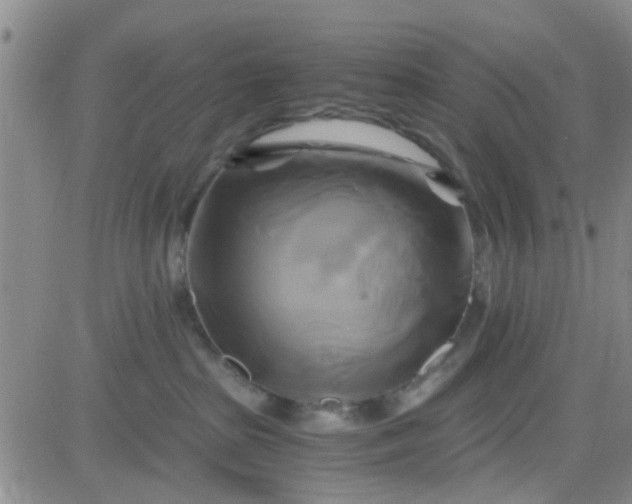 X0000084010285200703022039