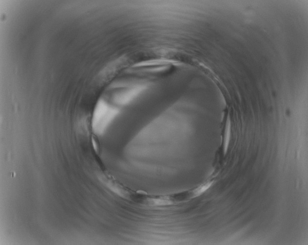 X0000084010286200703022039