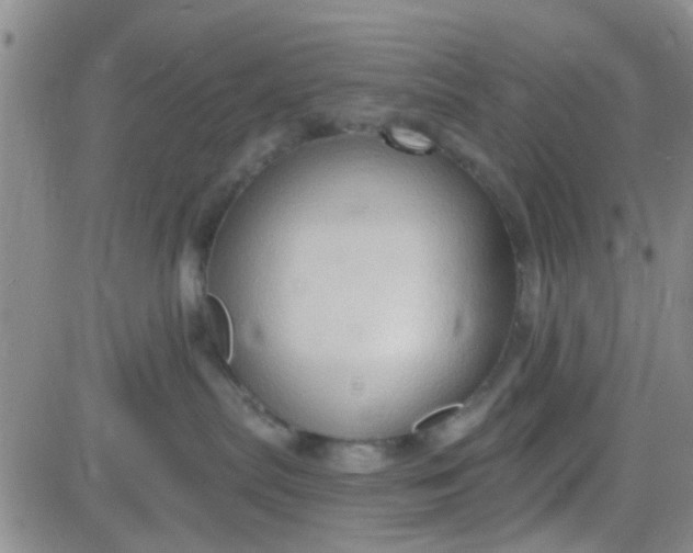 X0000084010287200703022039